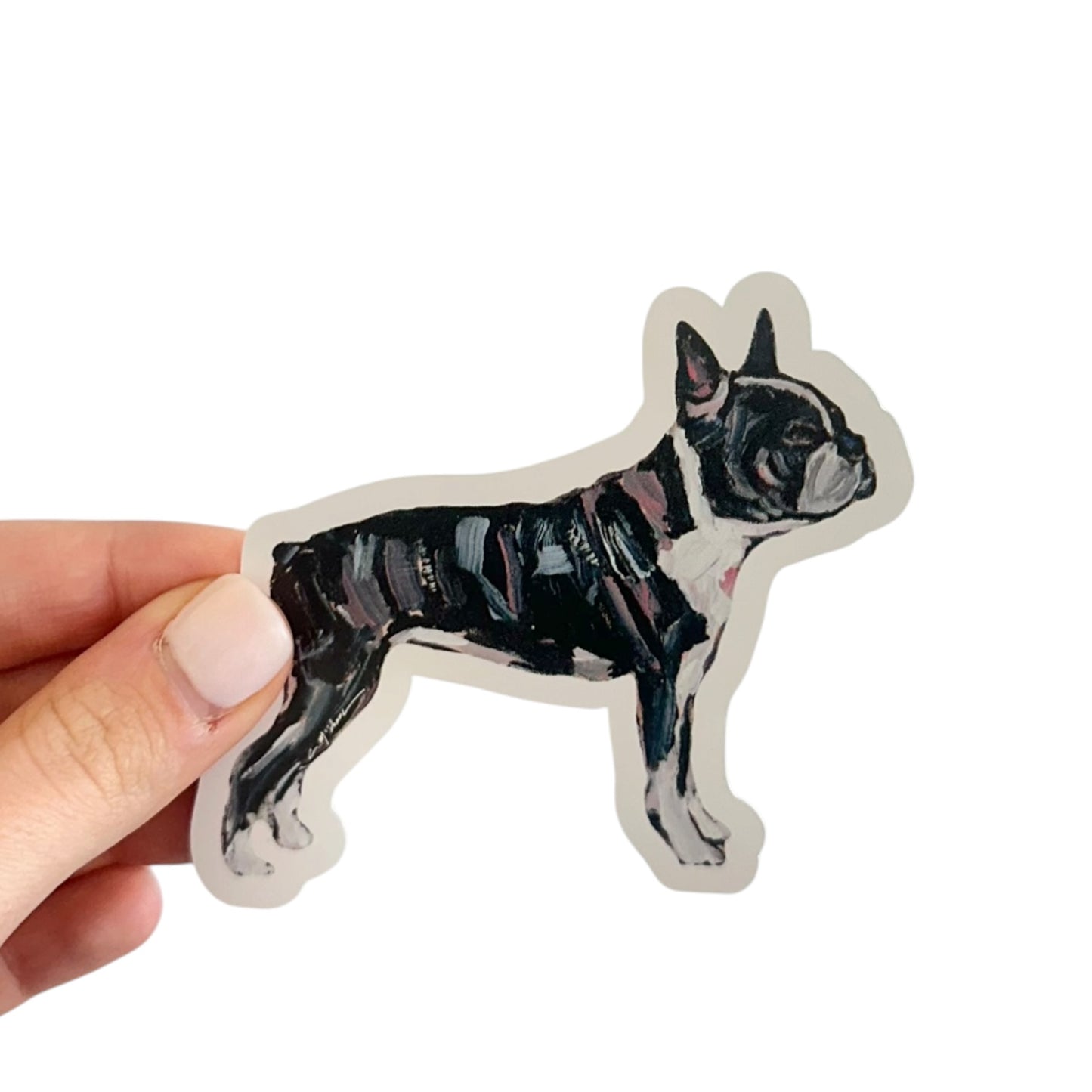 "Boston Terrier" Sticker