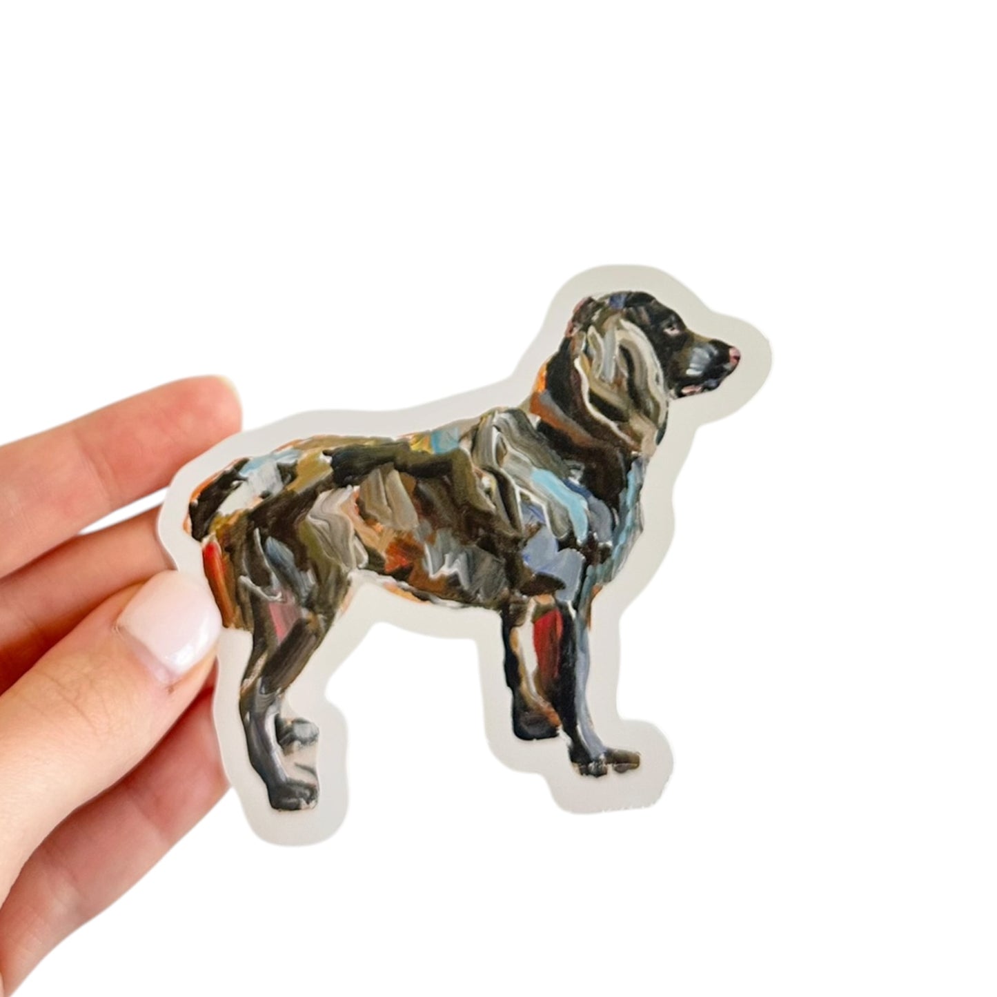 "Boykin" Sticker