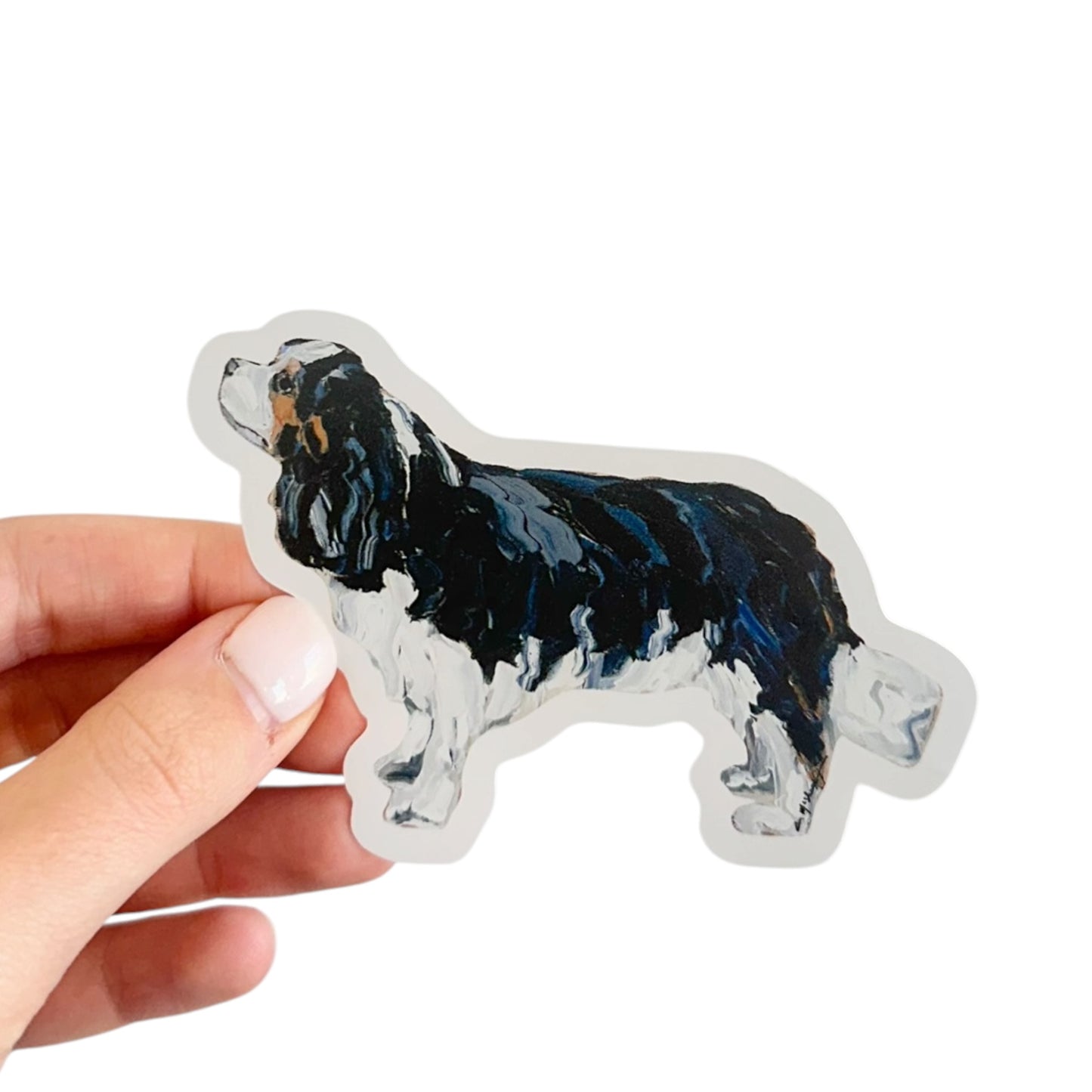 "Cavalier King Charles Tri" Sticker