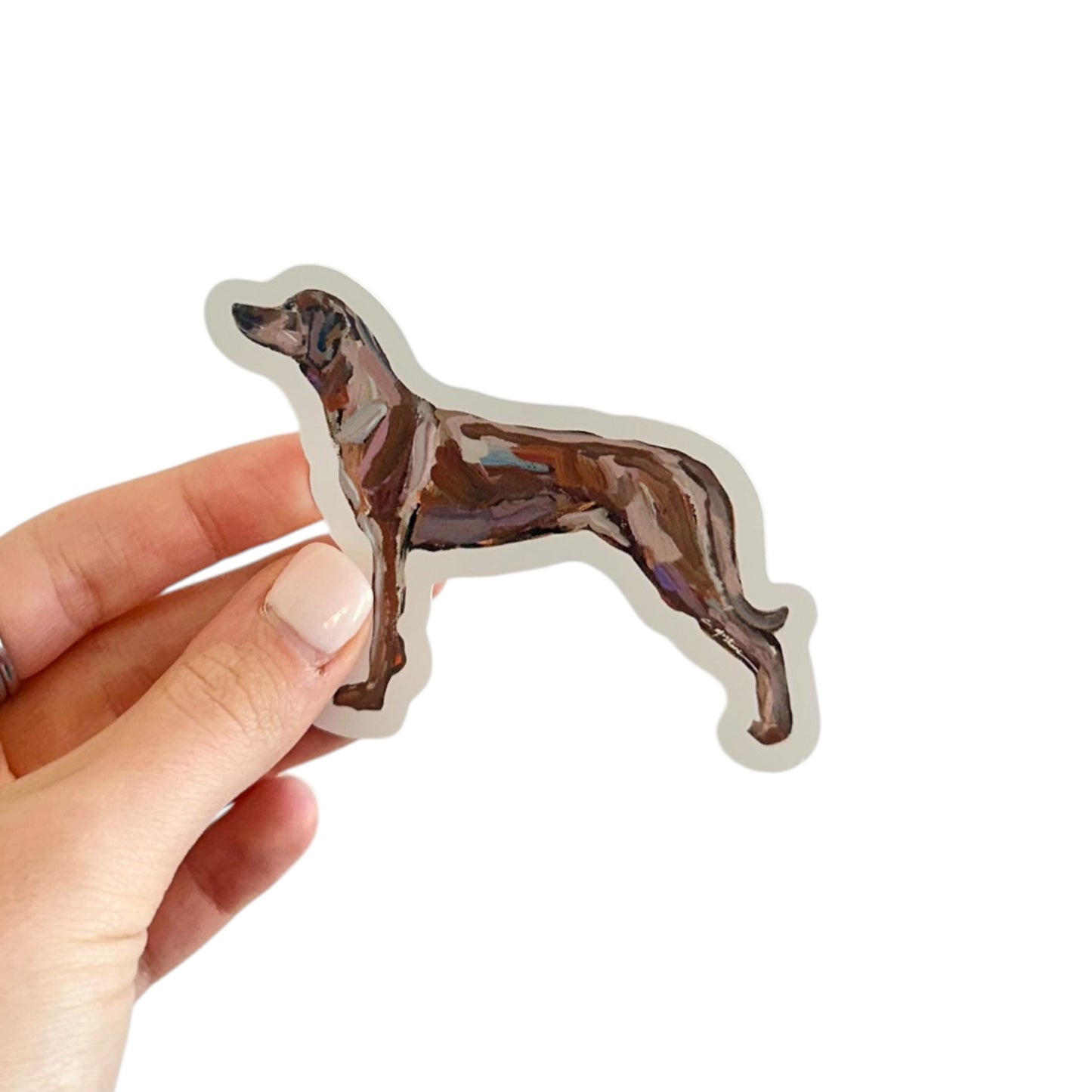 "Rhodesian Ridgeback" Sticker