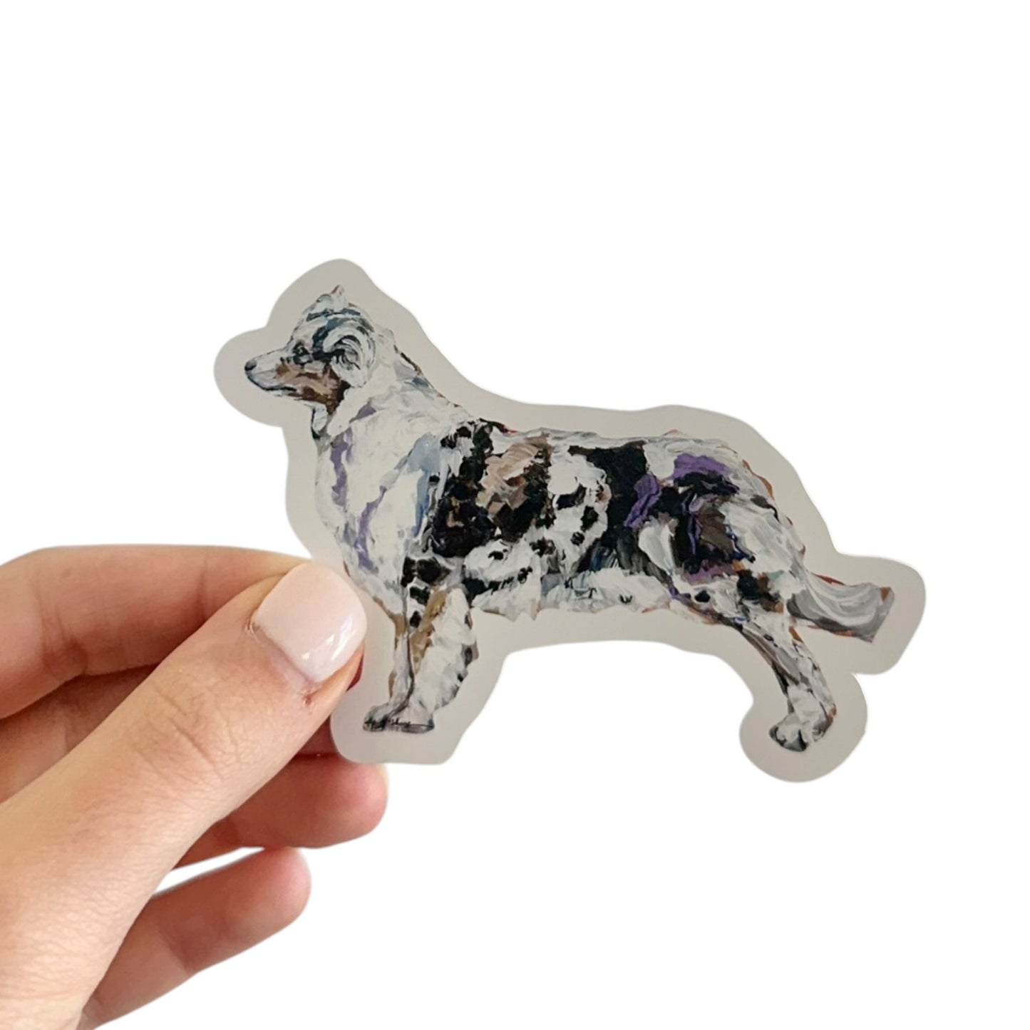"Australian Shepherd Blue Merle" Sticker