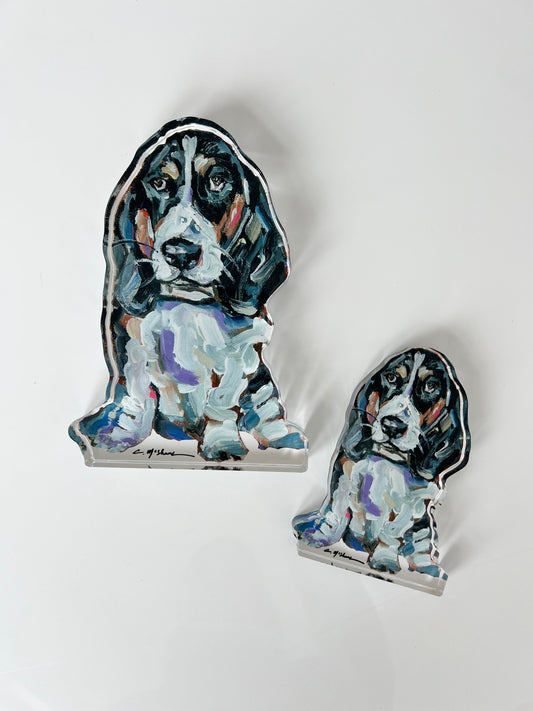 "Basset Hound Black & White" acrylic