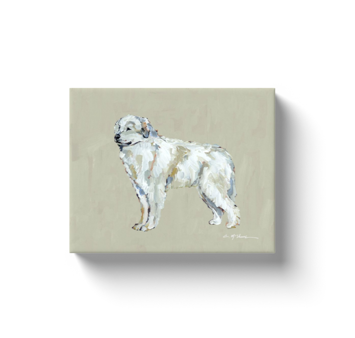 "Great White Pyrenees" canvas print