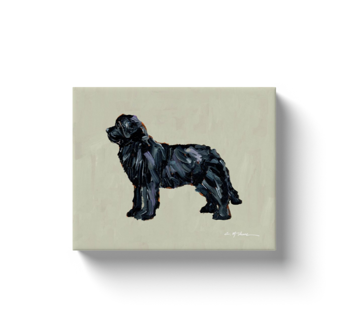 "Newfoundland Black" canvas print