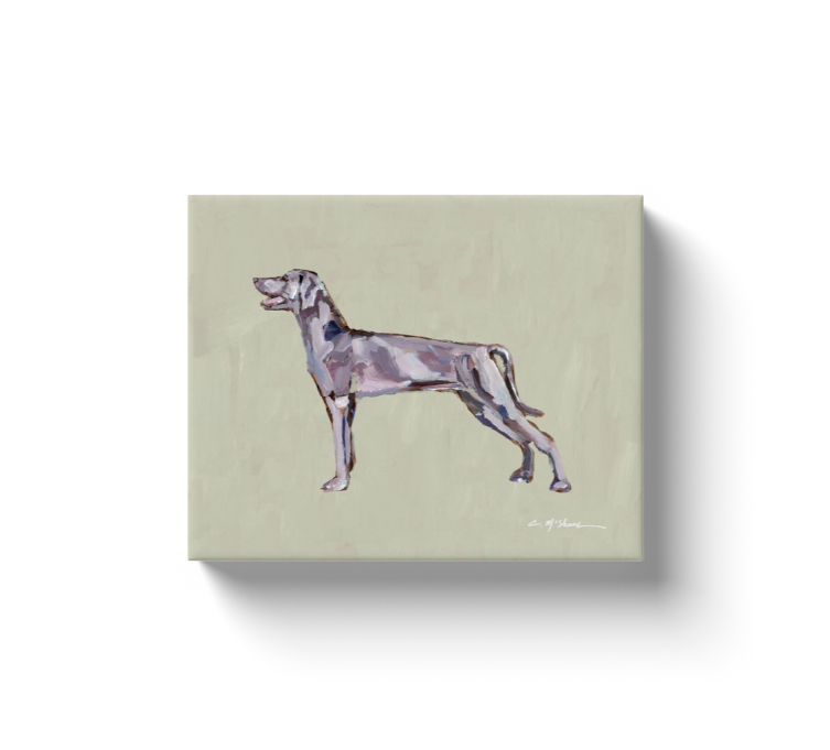"Weimaraner" canvas print