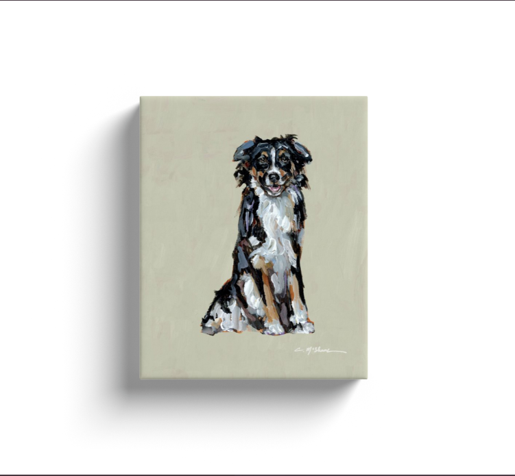"Australian Shepherd black & white tri" canvas print