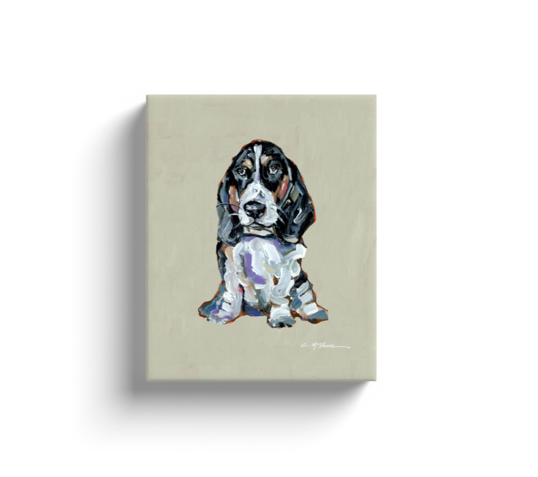 "Basset Hound black & white" canvas print