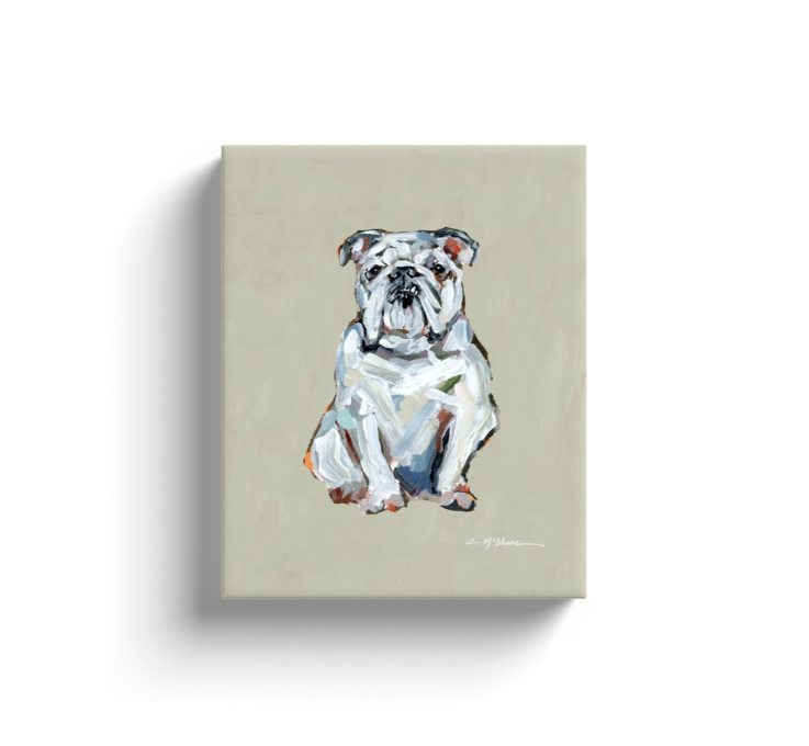"English Bulldog white" canvas print