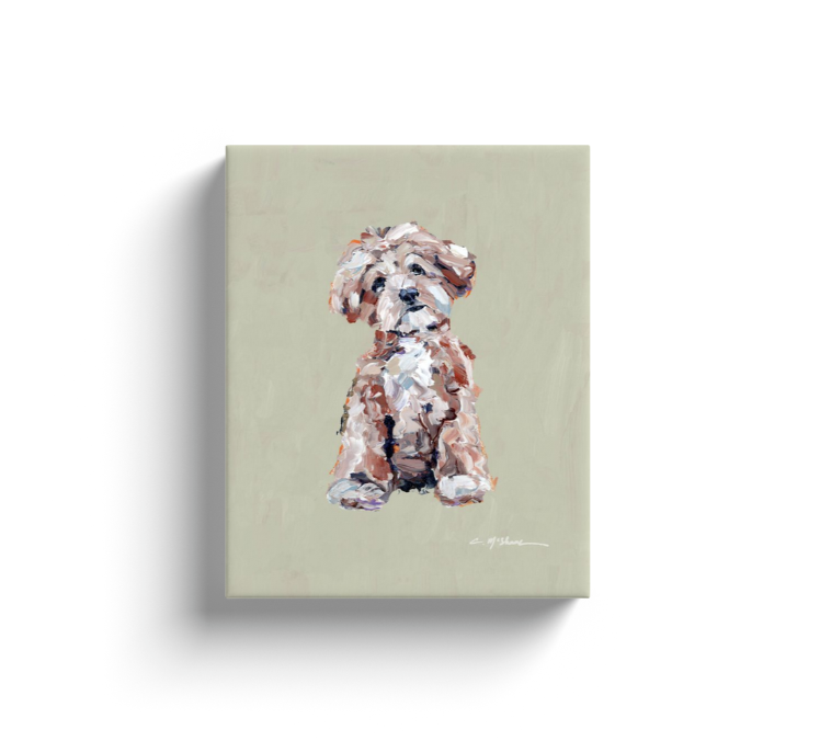 "Maltipoo Apricot" canvas print