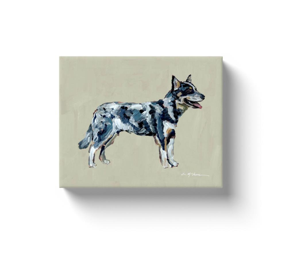 "Blue Heeler" canvas print