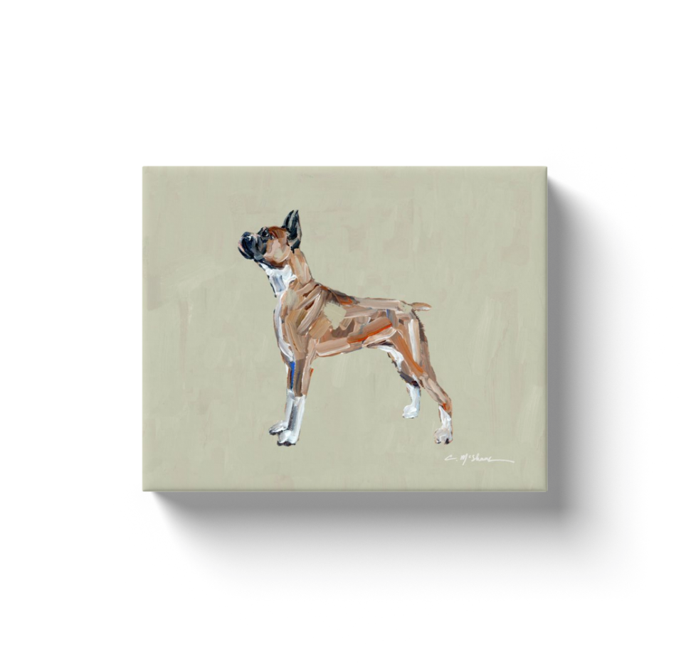 "Boxer" canvas print