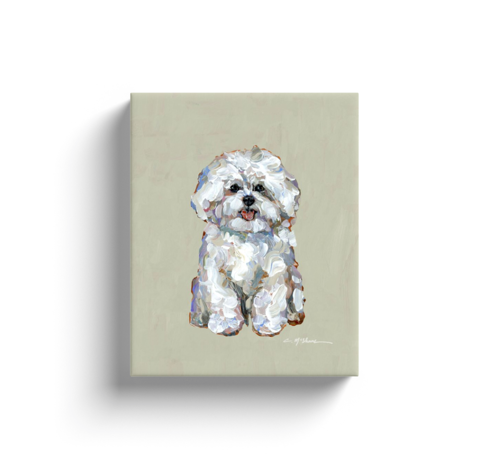 "Bichon Frise" canvas print
