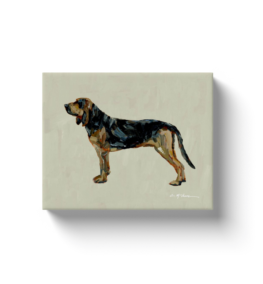 "Bloodhound" canvas print