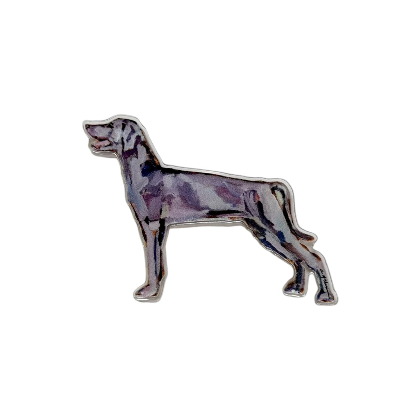 "Weimaraner" magnet
