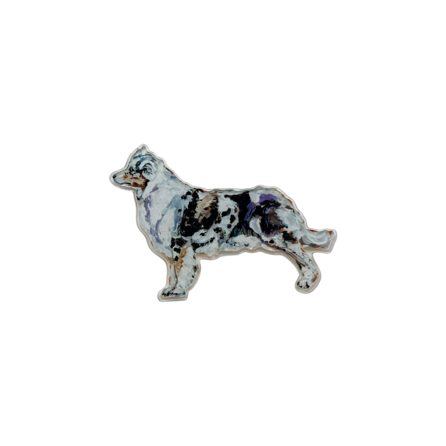 "Australian Shepherd Blue Merle" magnet