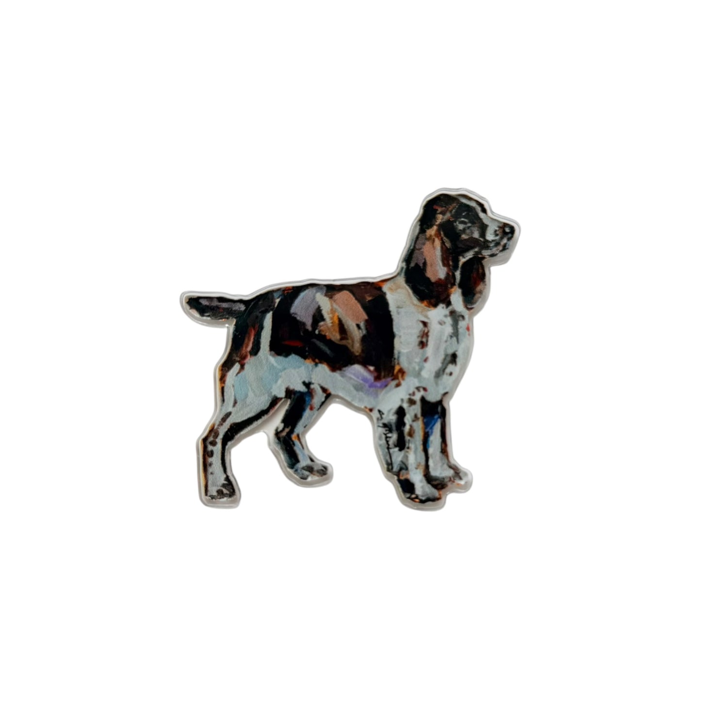"English Springer Spaniel" magnet