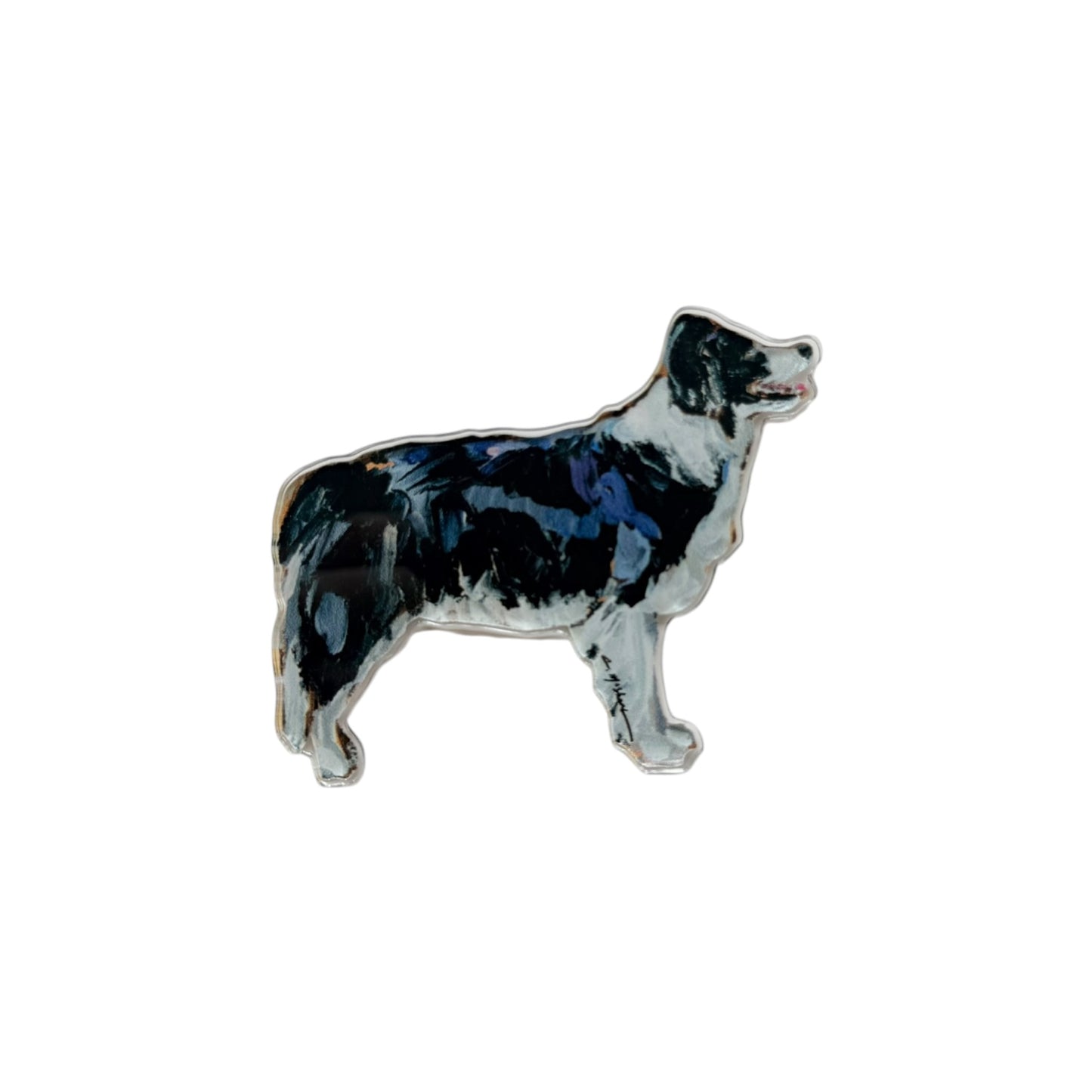 "Border Collie" magnet