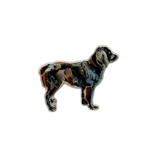 "Boykin" magnet