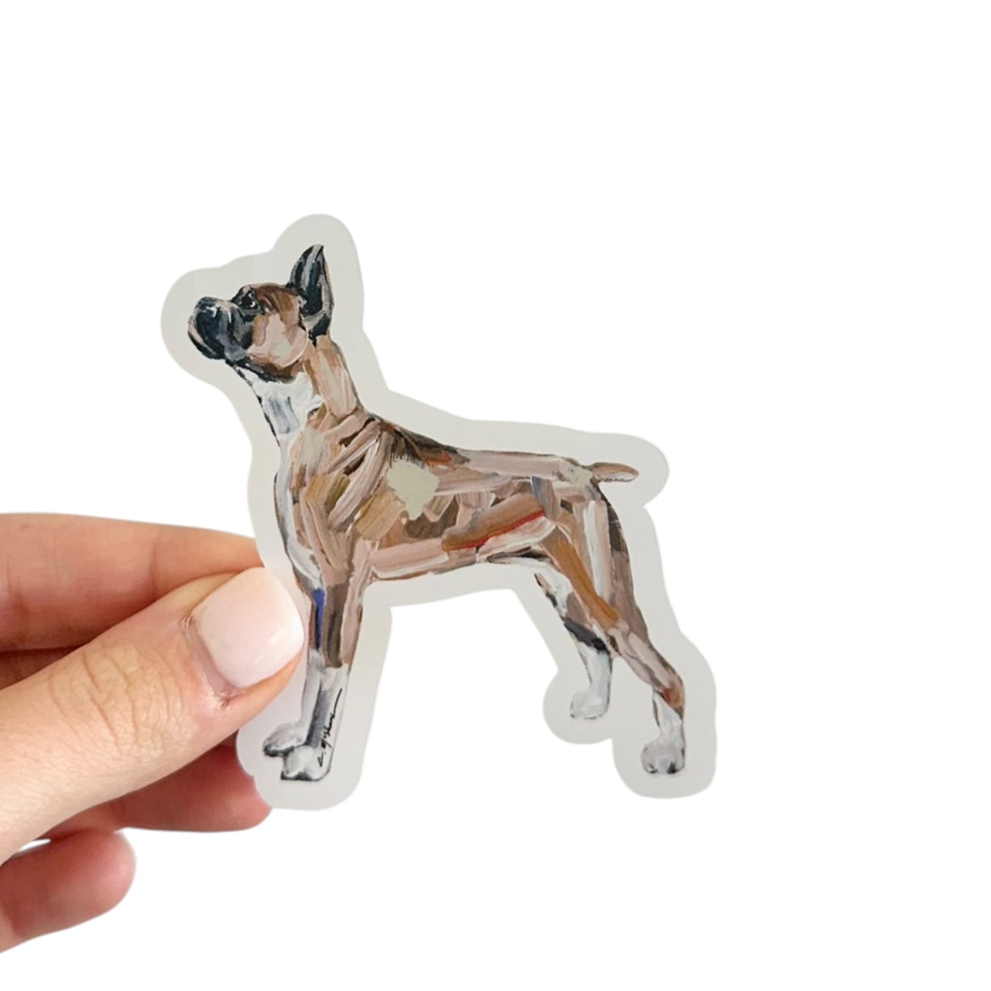 "Boxer" Sticker