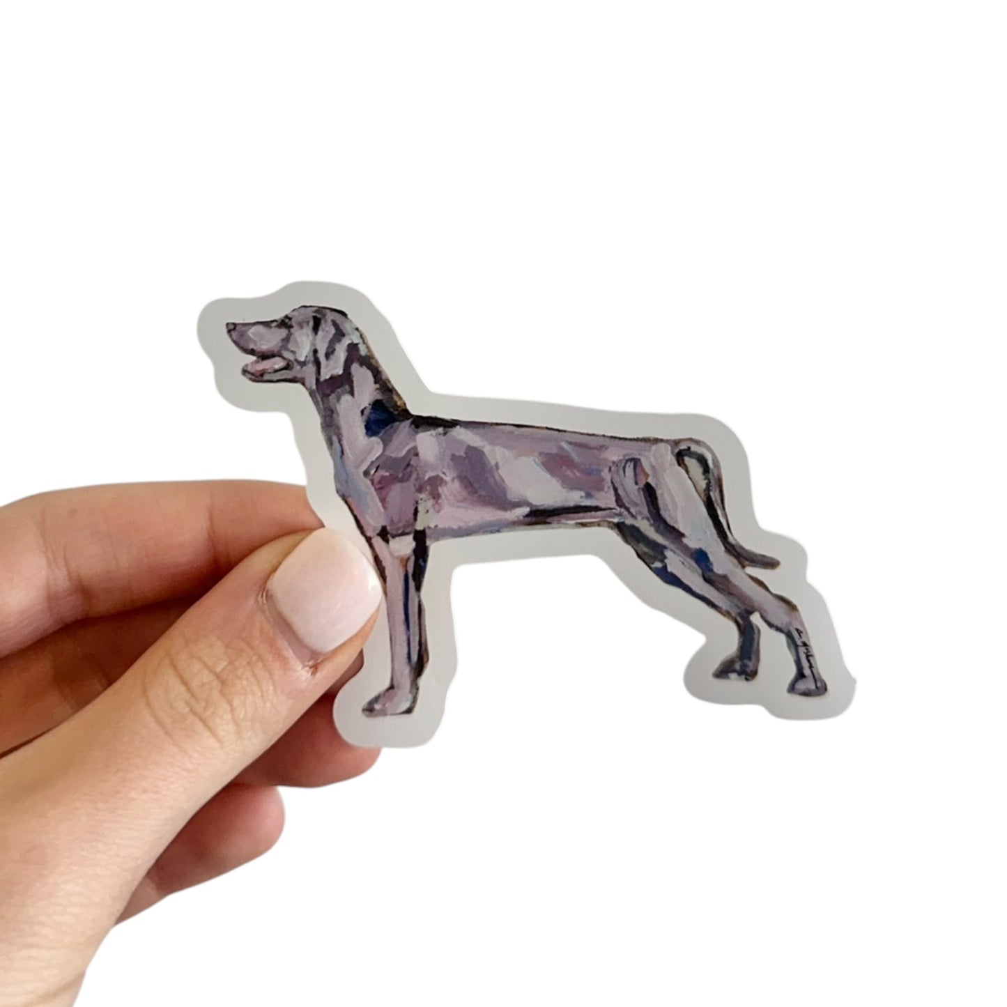 "Weimaraner" Sticker