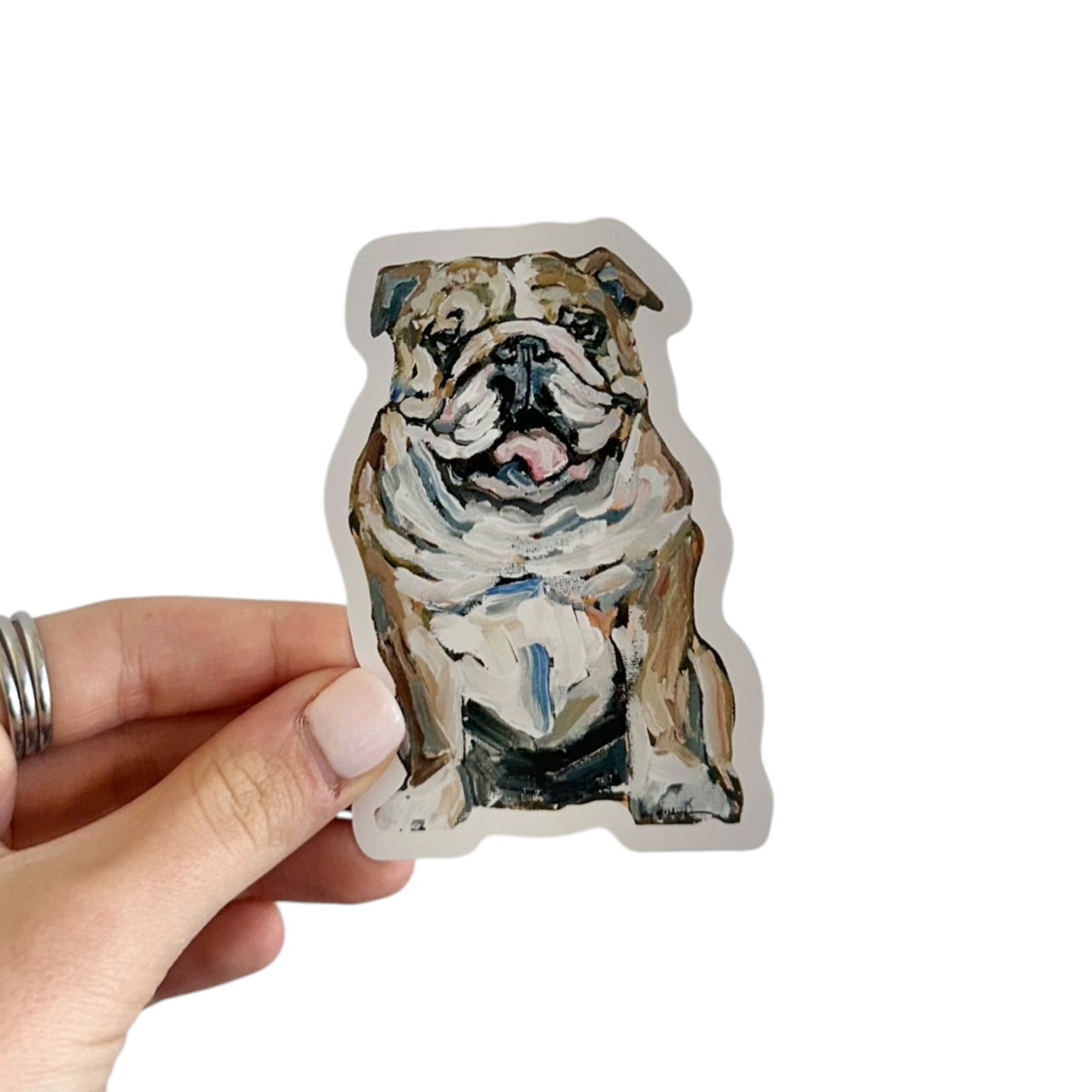 "English Bulldog Fawn & White" Sticker