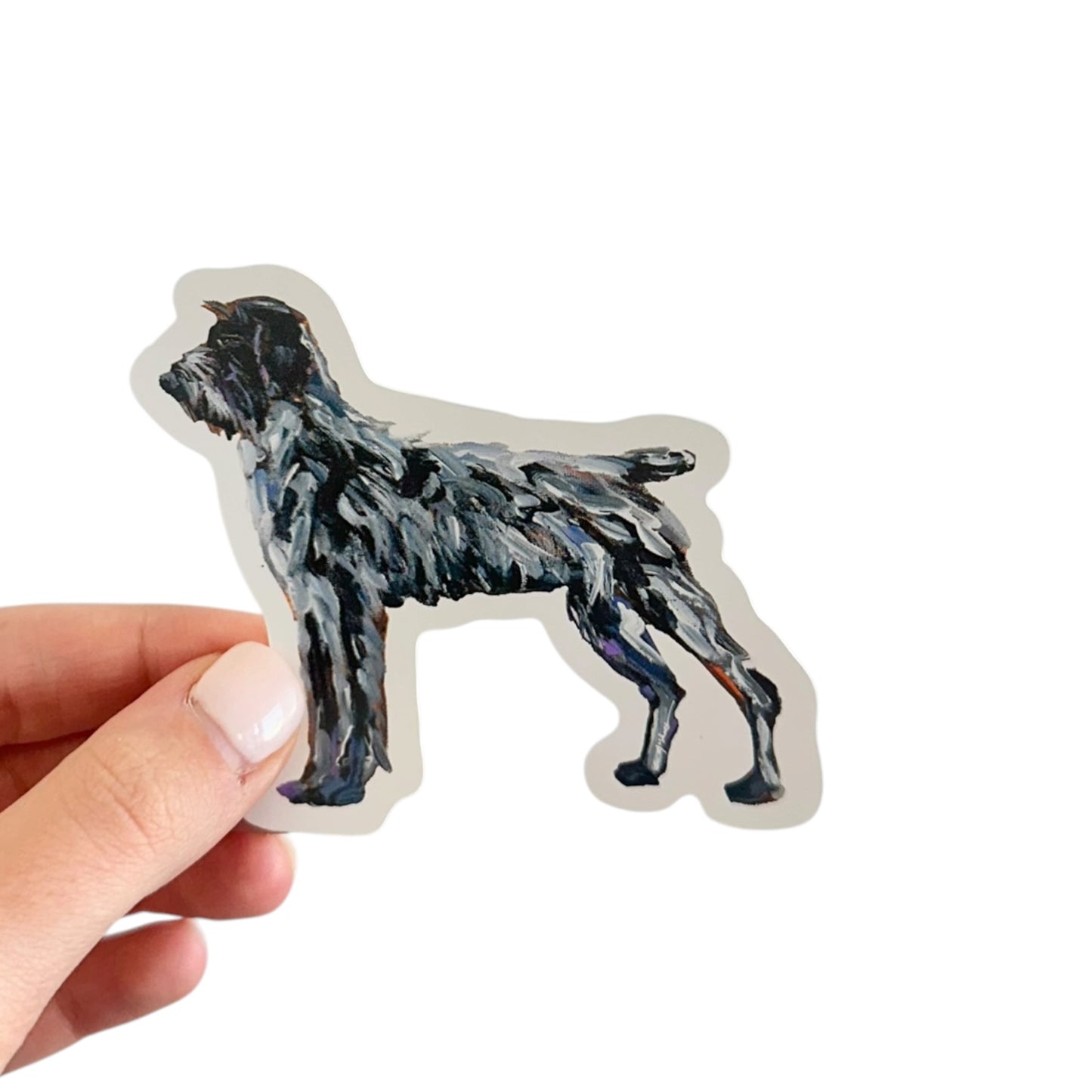 "Wirehaired Pointing Griffon" Sticker