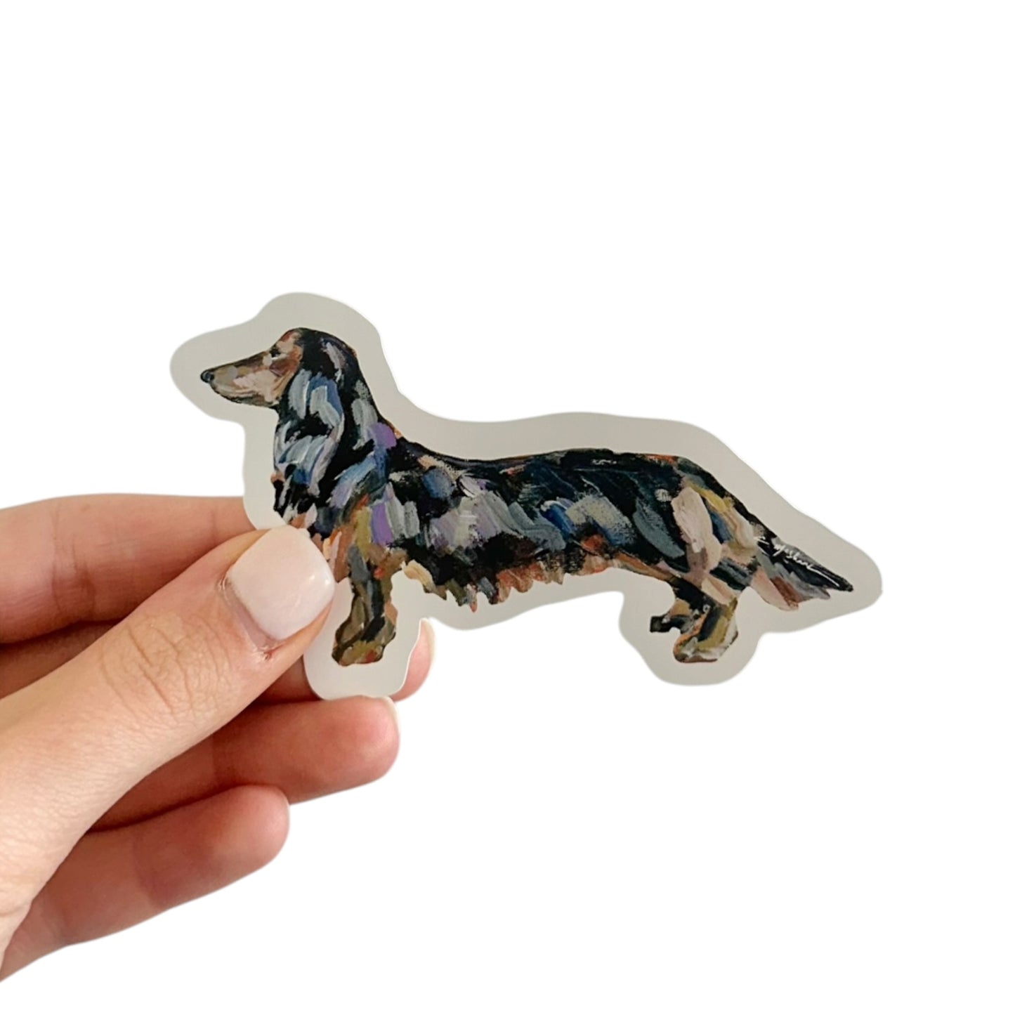 "Dachshund Black & Tan Long Haired" Sticker
