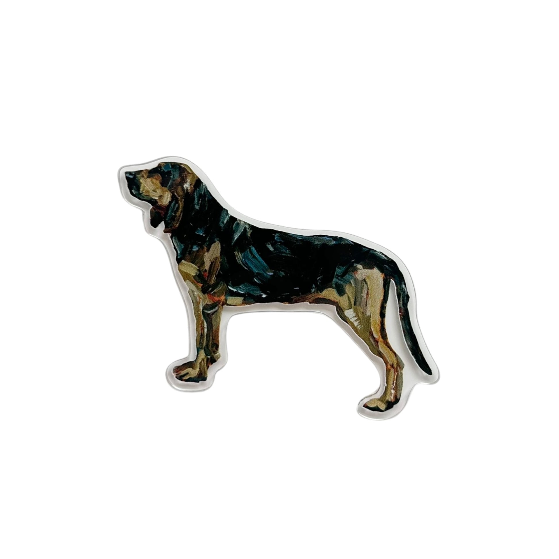 Bloodhound dog acrylic magnet featuring original artwork by Chelsea McShane.
