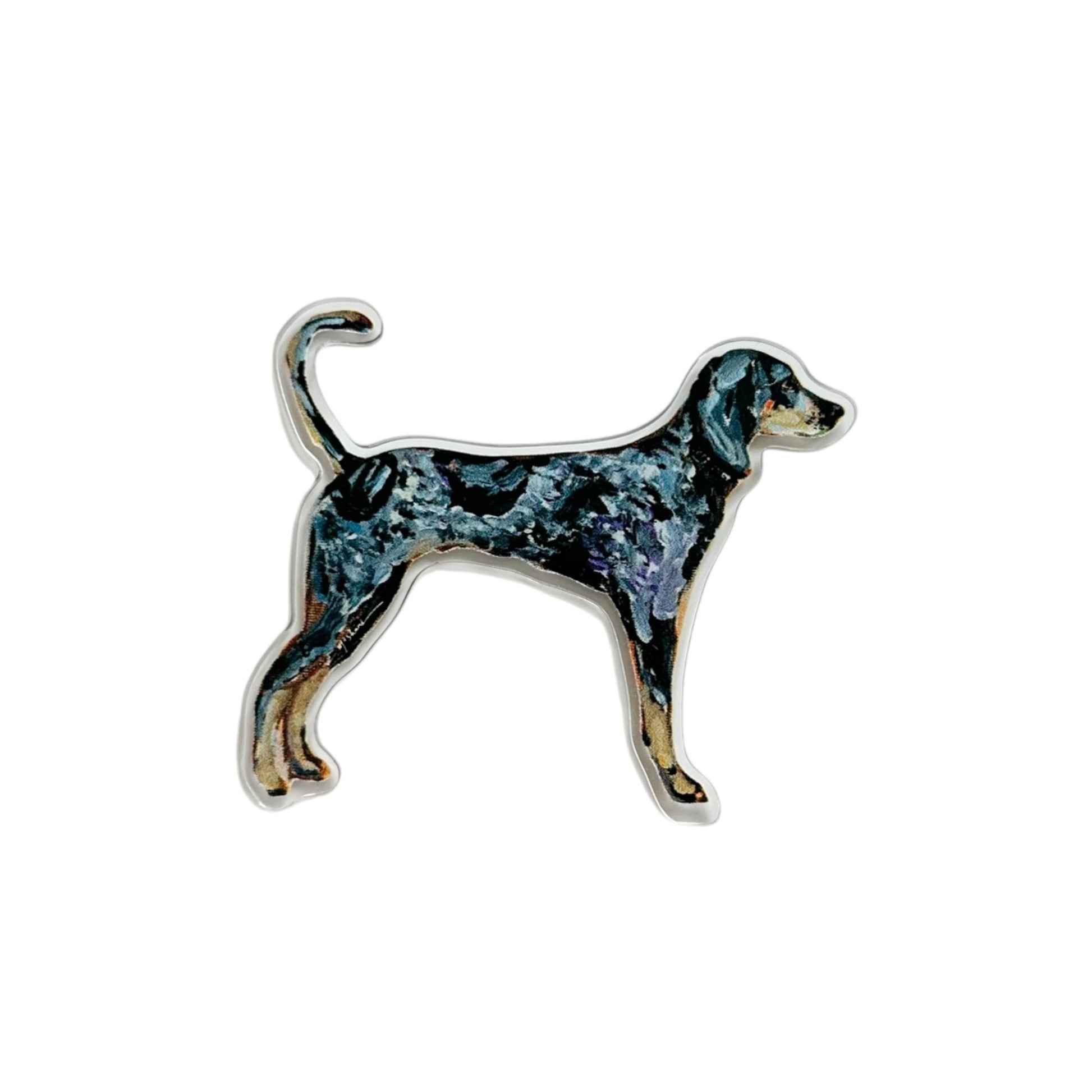 Bluetick Coonhound dog acrylic magnet featuring original artwork by Chelsea McShane.