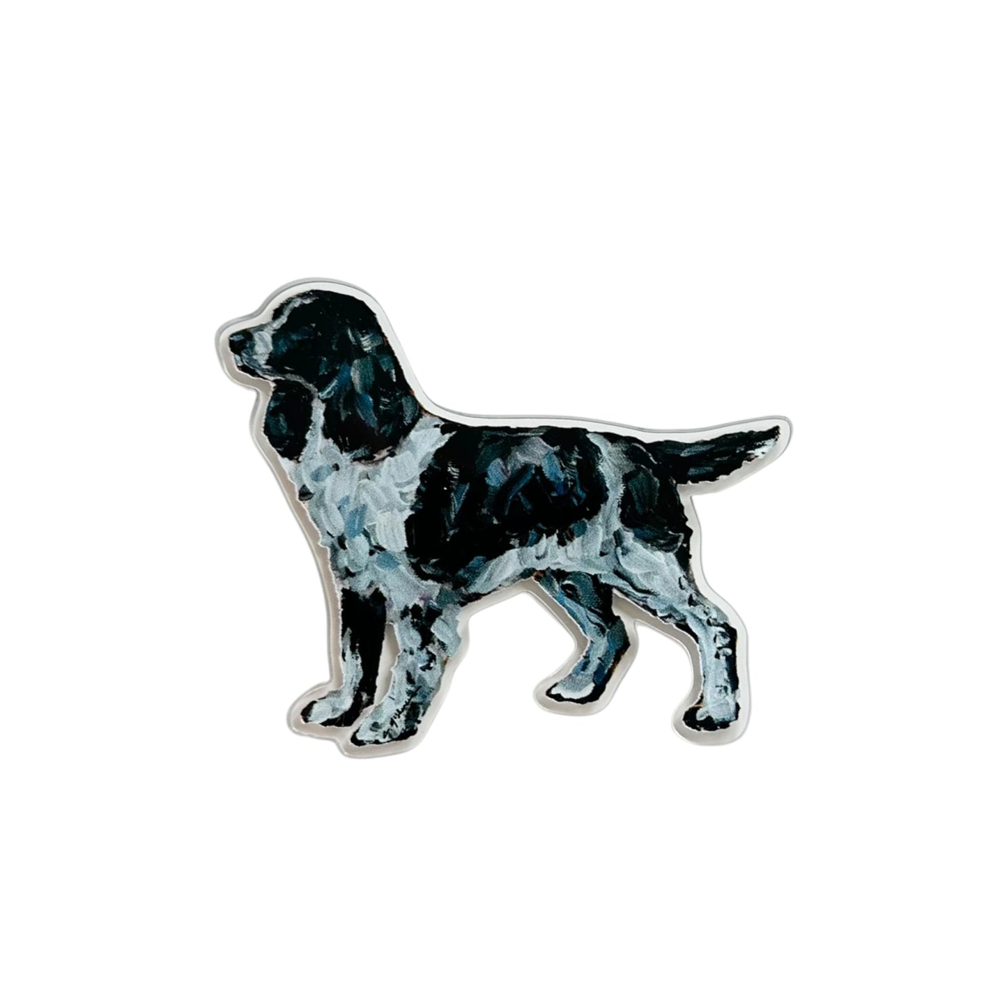 English Springer Spaniel dog acrylic magnet featuring original artwork by Chelsea McShane.