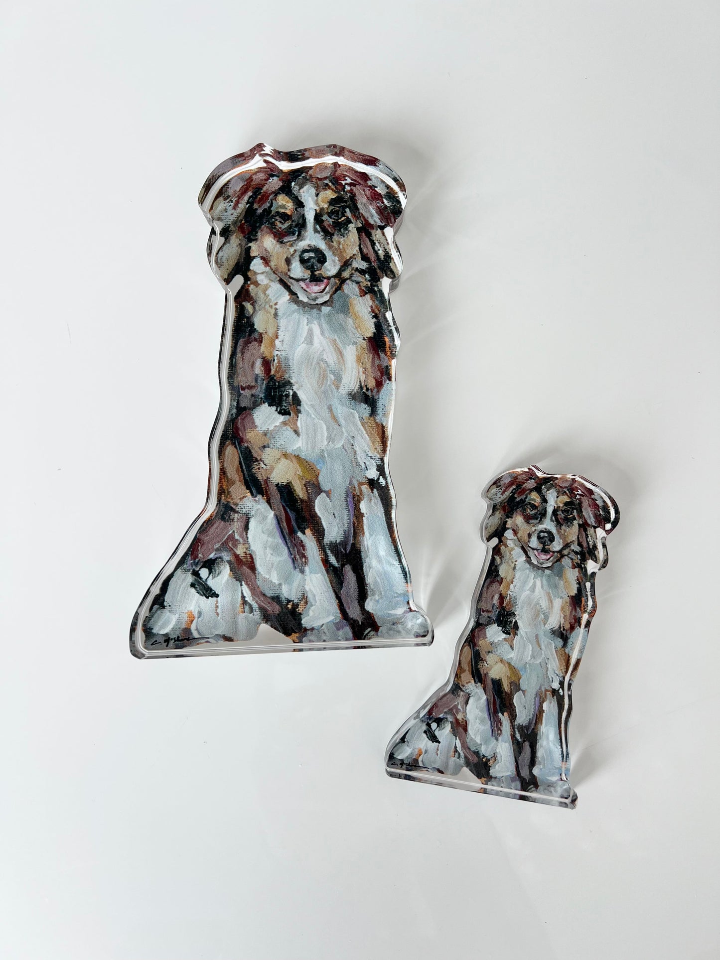 "Australian Shepherd Red" acrylic