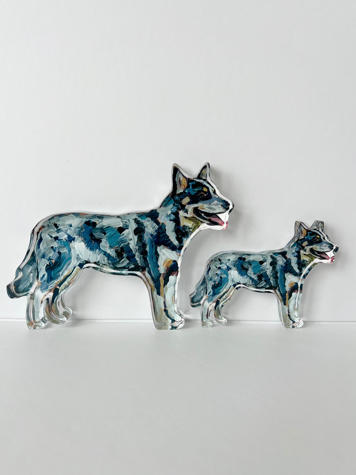 "Blue Heeler" acrylic