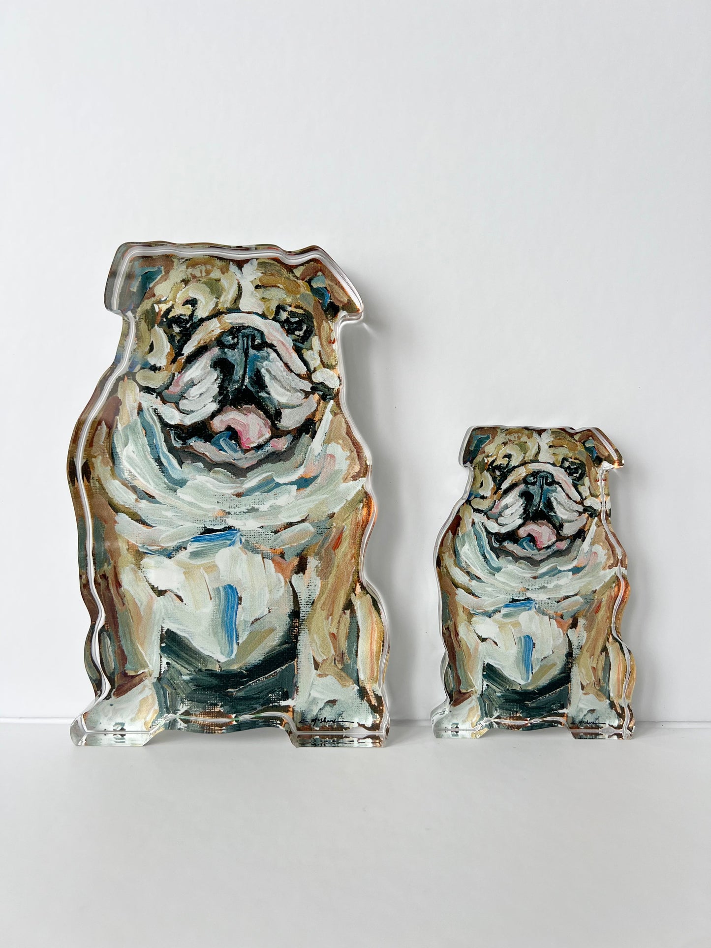"Bulldog Fawn & White" acrylic