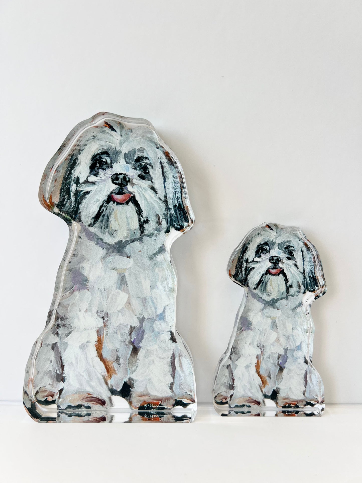 "Shih Tzu White" acrylic