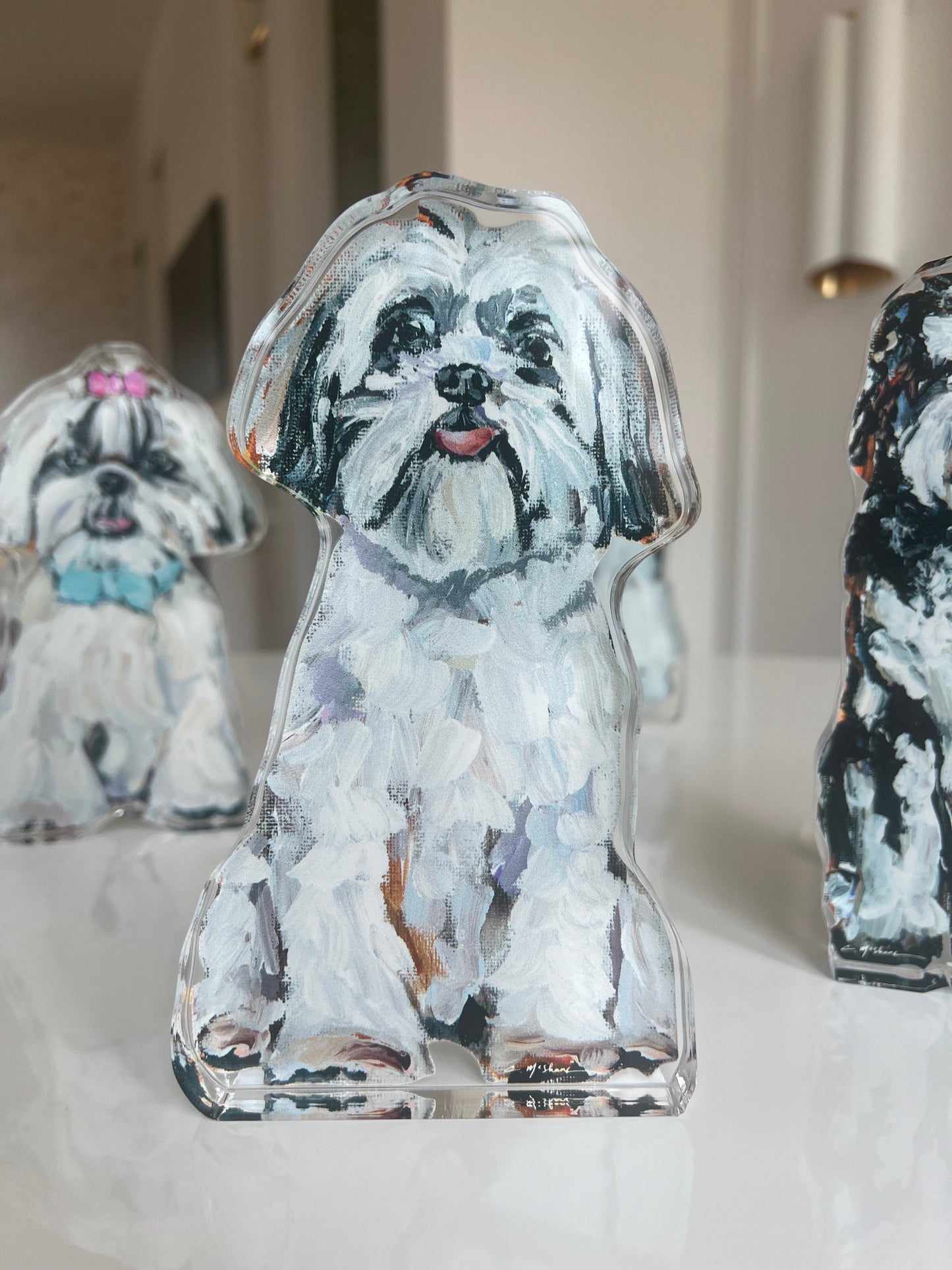 "Shih Tzu White" acrylic