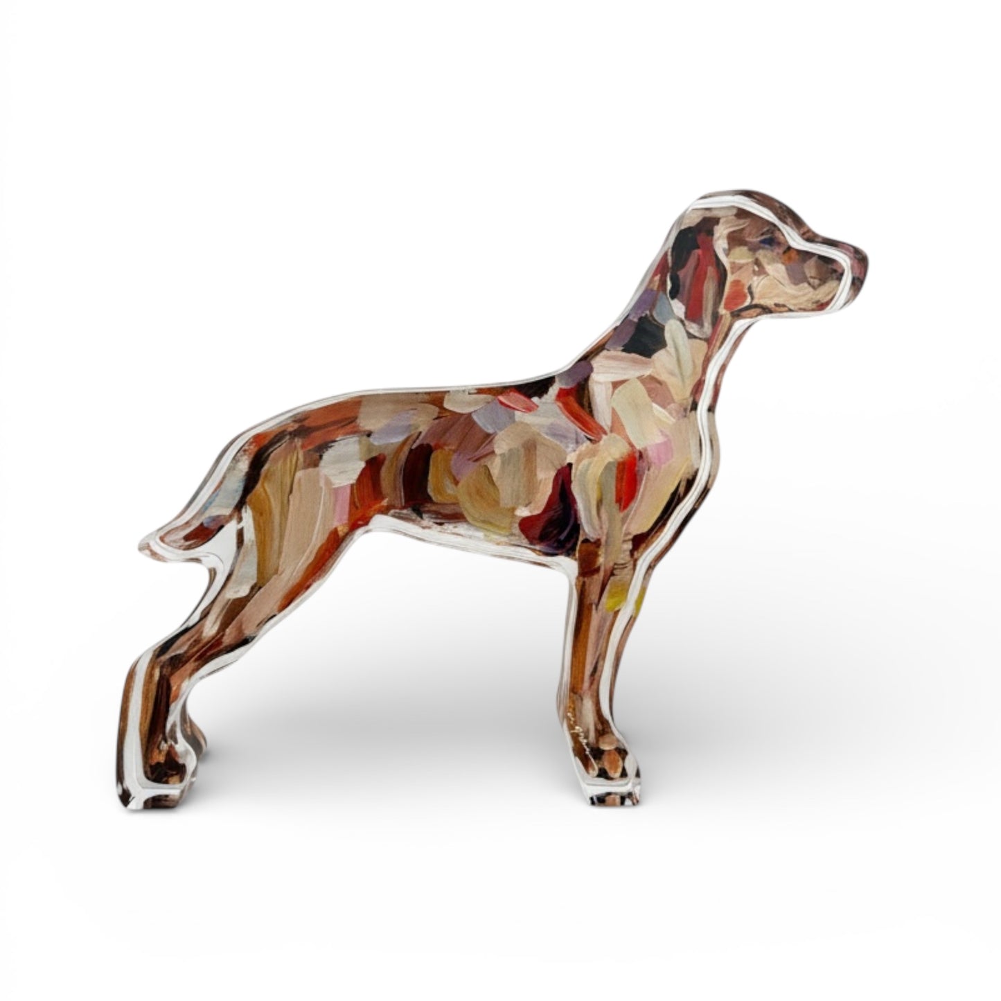 "Vizsla" acrylic
