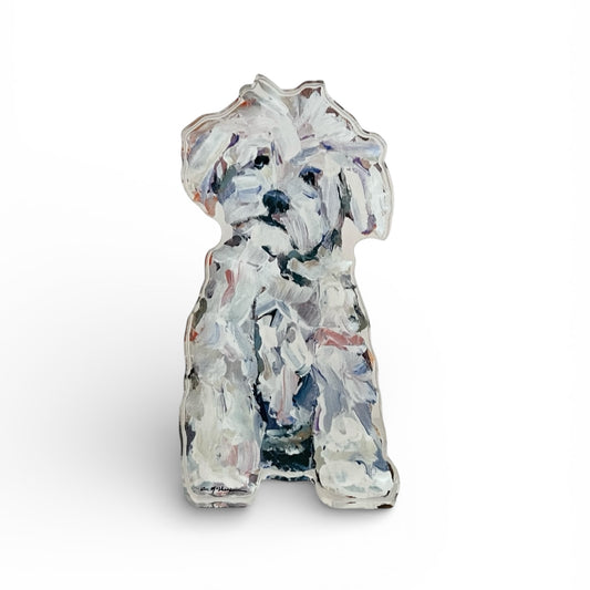 "Maltipoo White" acrylic