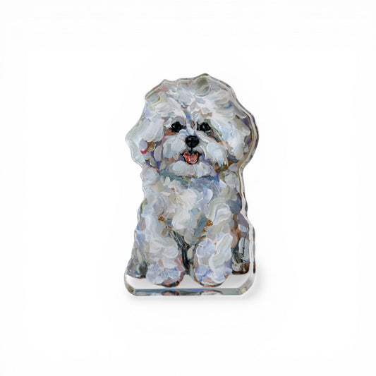 "Bichon Frise" acrylic