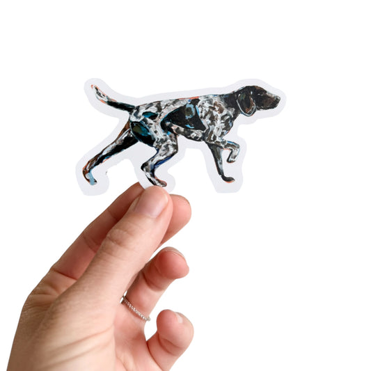 GSP German Shorthaired Pointer 