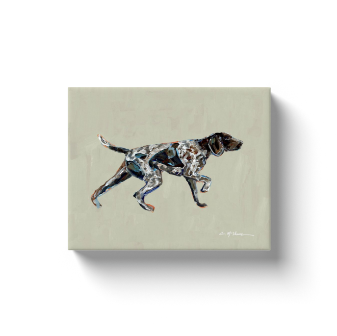 "German Shorthair Pointer Pointing" canvas print