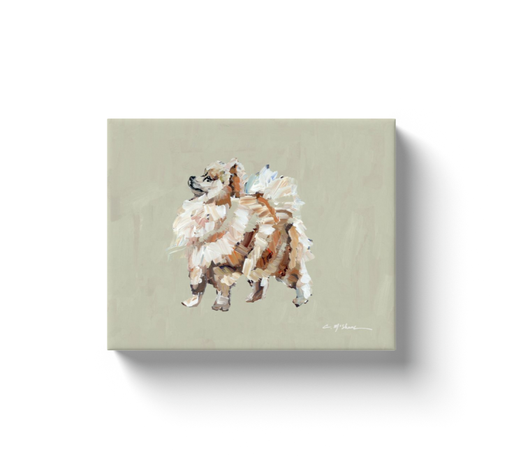 "Pomeranian Apricot" canvas print