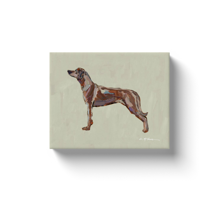 "Rhodesian Ridgeback" canvas print
