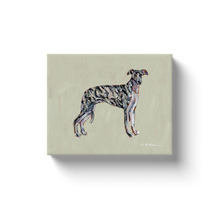 "Whippet" canvas print