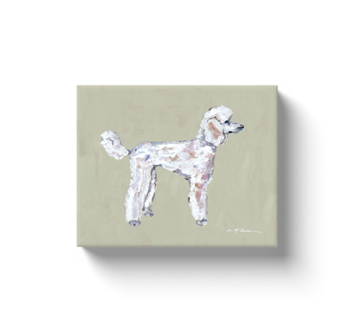 "Poodle White" canvas print