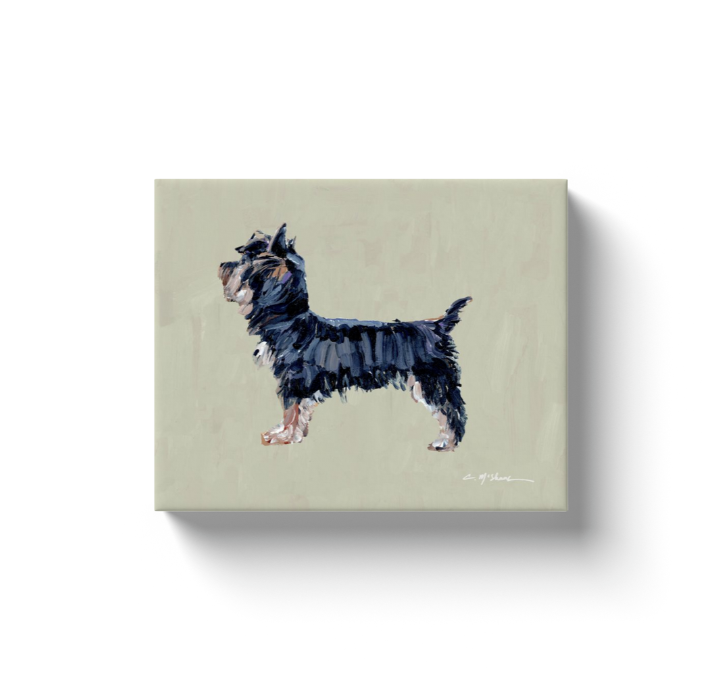 "Yorkie Black & Tan" canvas print