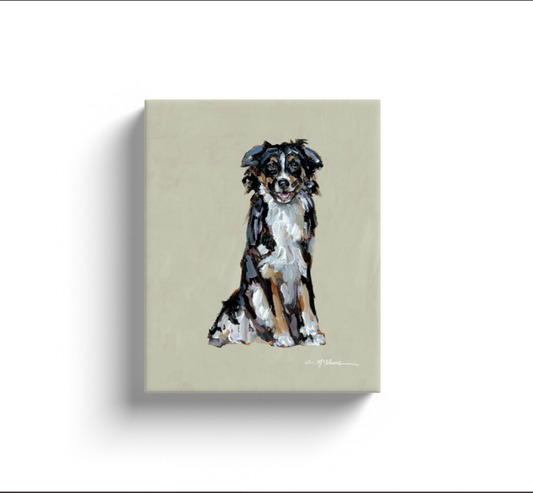 "Australian Shepherd black & white tri" canvas print