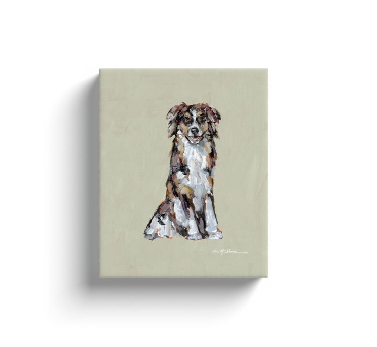 "Australian Shepherd red" canvas print