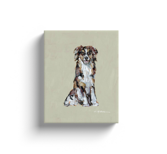 Red Australian Shepherd Dog Canvas Print