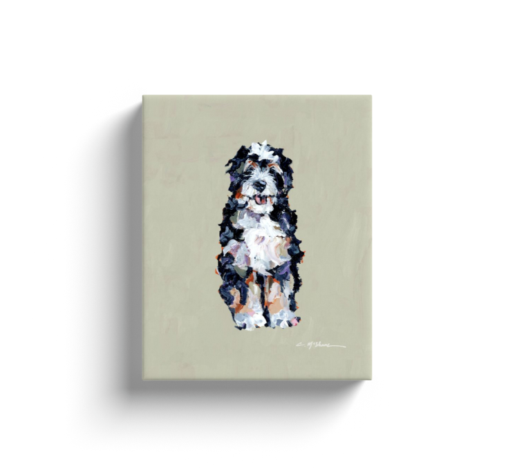 "Bernedoodle" canvas print