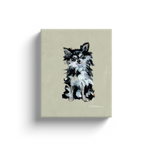 Black & White Chihuahua with Long Hair Dog Canvas Print